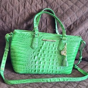 Brahmin mini asher cucumber Melbourne